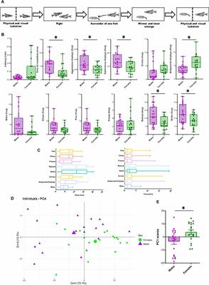 Sex Differences in Aggression Are Paralleled by Differential Activation of the Brain Social Decision-Making Network in Zebrafish